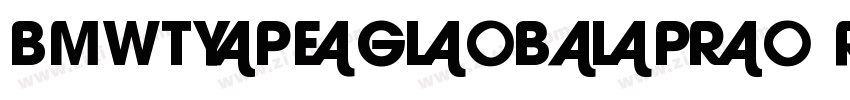 BMWTypeGlobalPro Reg字体转换